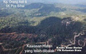 271850116 2295091160630825 346365055465210599 n