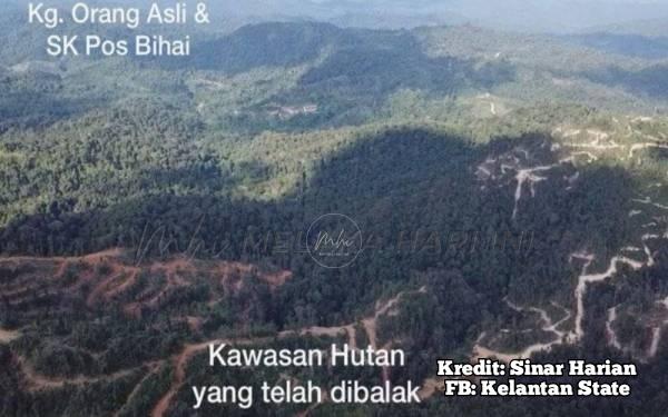 Imej dron kesan pembalakan jauh dari lokasi habitat harimau – JPNK