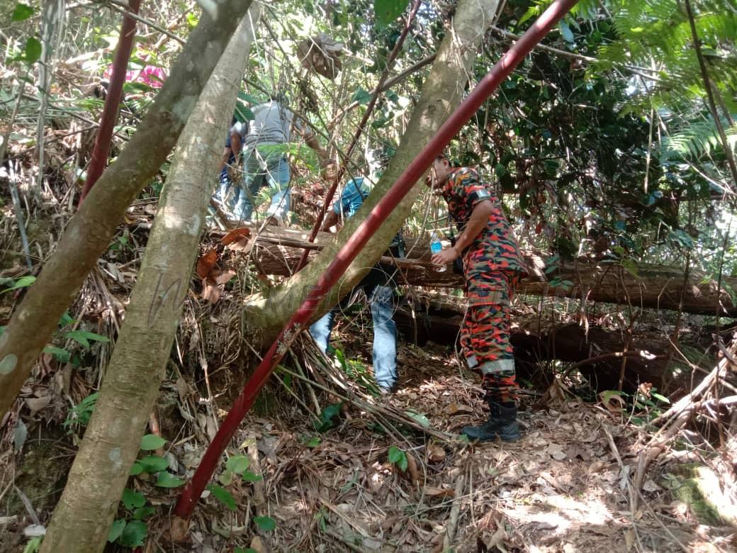 Operasi mencari kanak-kanak Orang Asli diteruskan
