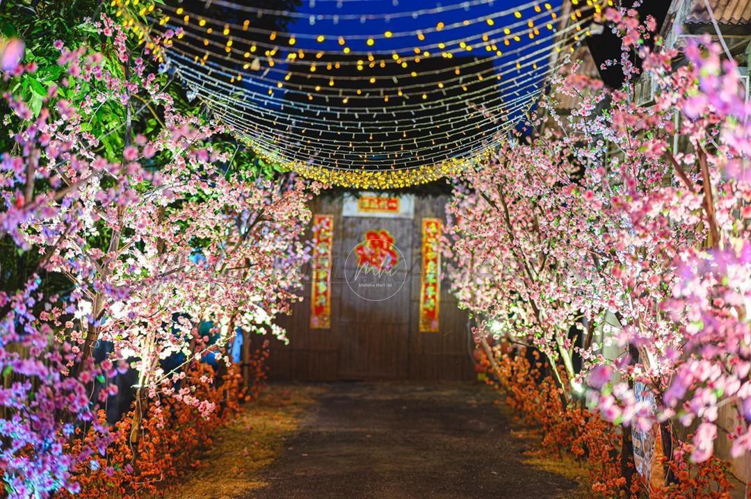 272242638 238930345086910 4514105343534023531 n