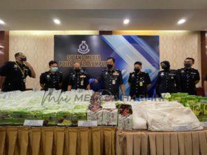 273033819 306245028196261 6513052469347068819 n