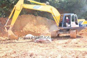 Fb img 1641642343857