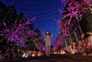 Sambutan tahun baharu cina