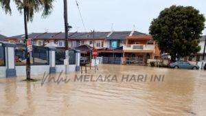 Whatsapp image 2022 01 02 at 1.00.30 pm