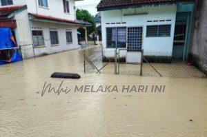 Whatsapp image 2022 01 02 at 2.05.18 pm