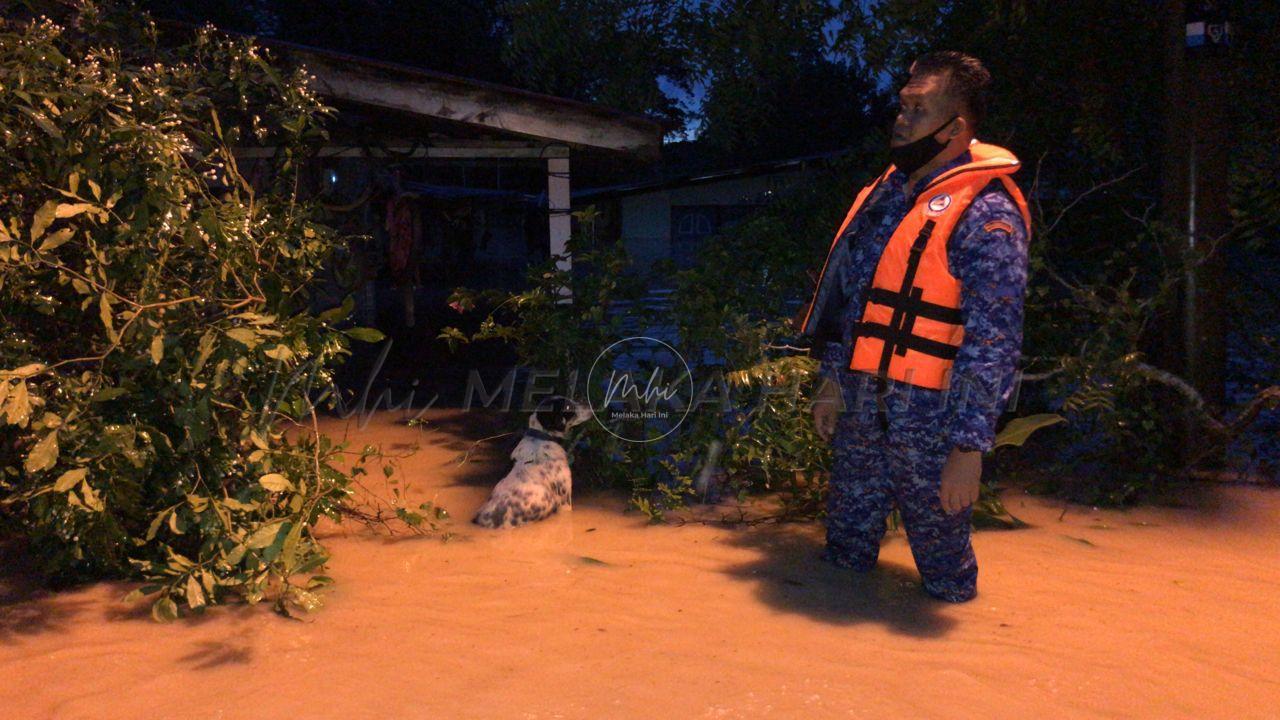 Banjir: APM Alor Gajah selamatkan anjing hampir lemas