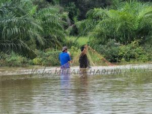 Whatsapp image 2022 01 03 at 2.08.24 pm