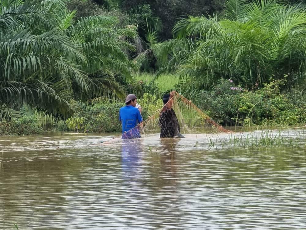 Banjir: Rezeki ikan betuk dalam musibah