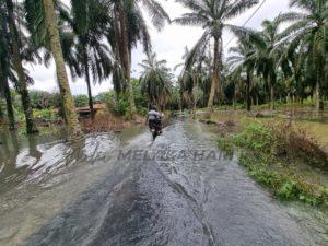 Whatsapp image 2022 01 03 at 5.57.26 pm