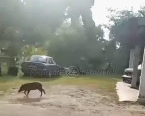 Whatsapp image 2022 01 26 at 10.26.03 am