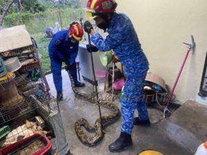 Whatsapp image 2022 01 26 at 12.27.54 pm