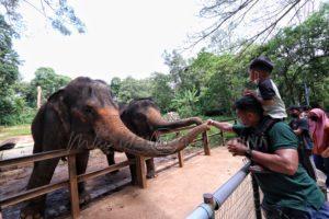 Zoo melaka