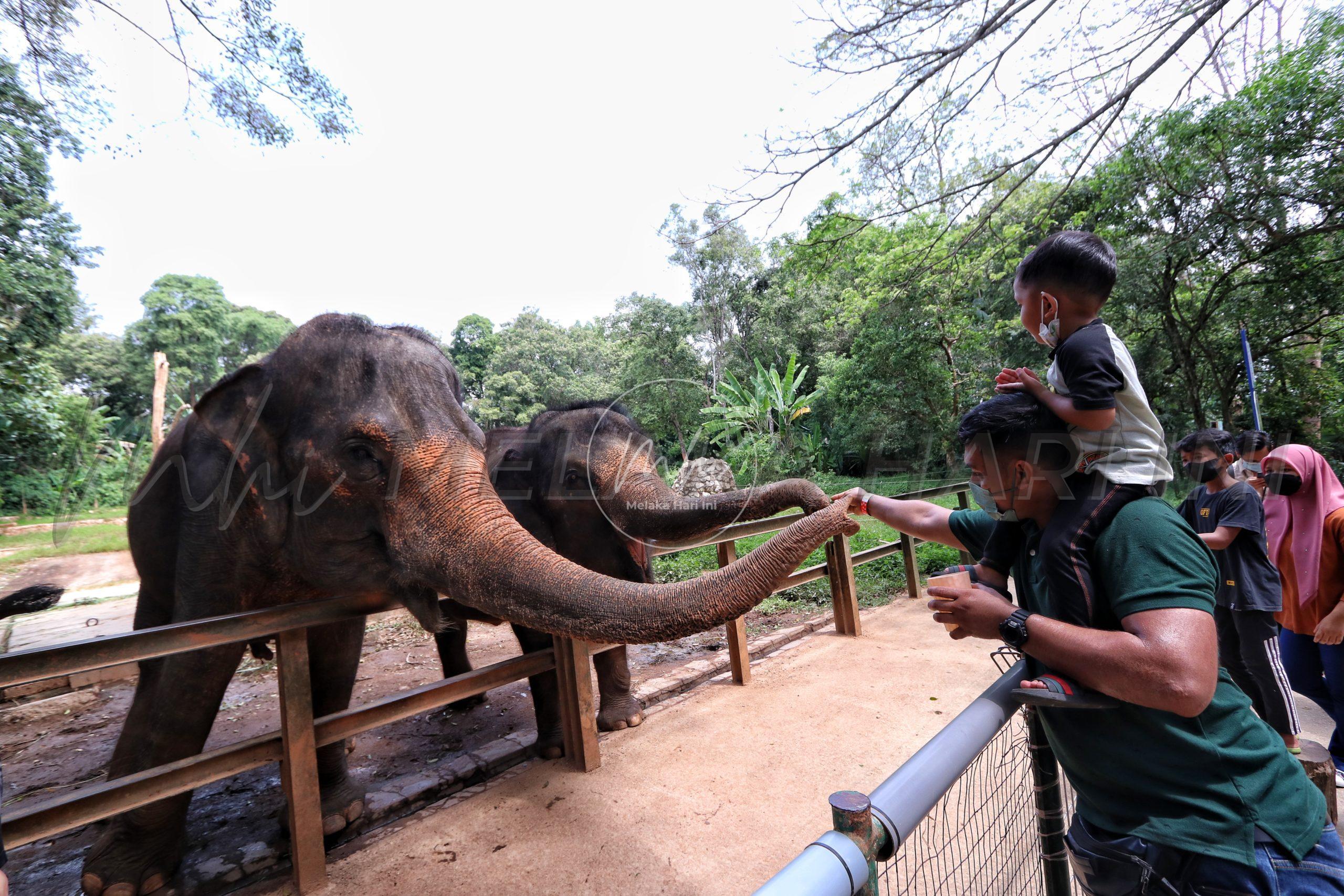 Zoo melaka