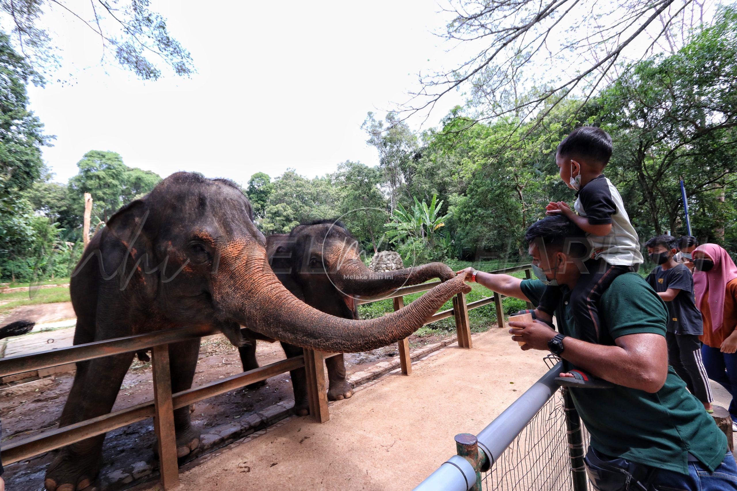 Zoo Melaka