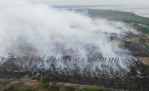 Pembakaran terbuka pulau burung
