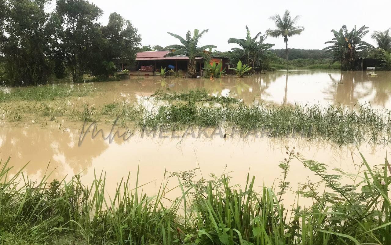 Photo 2022 01 03 08 56 31 3