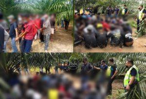 Port apache alor gajah