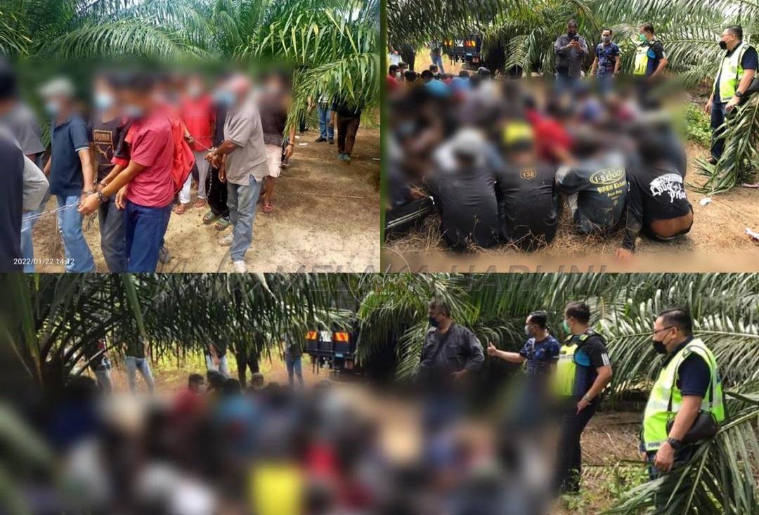 Port ‘Mat Gian’ diserbu, 73 ditahan