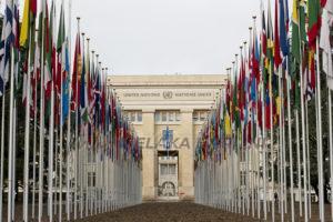 Unog flags return after renovation