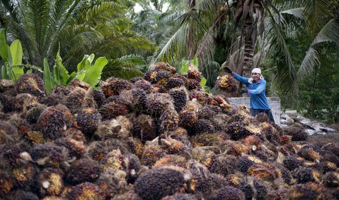 Sabah pengeksport tertinggi minyak sawit bernilai RM1.8 bilion pada Mac