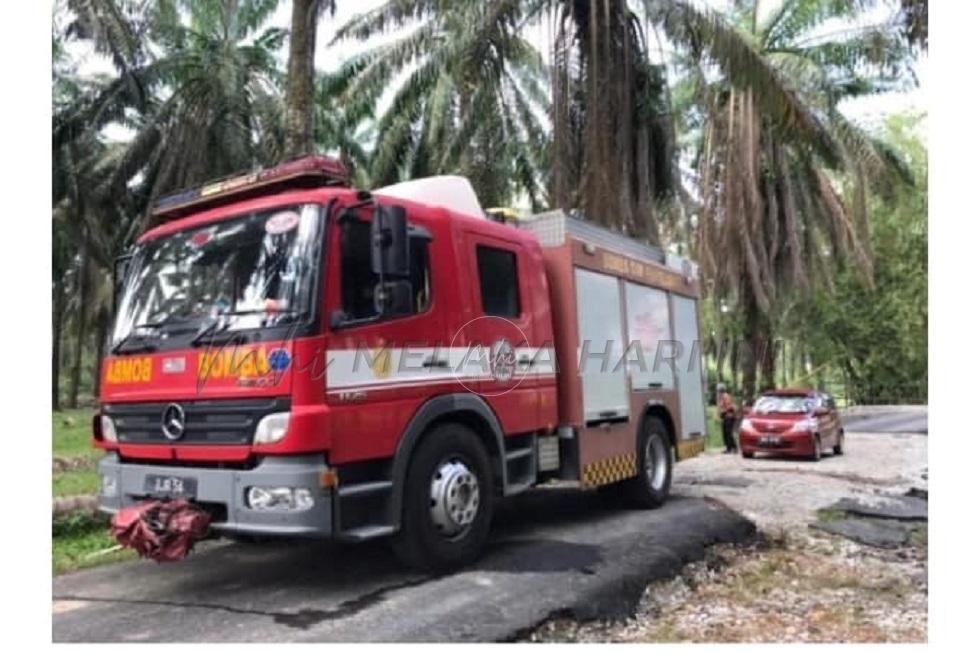 272891501 5048850498471298 1109008232630028885 n