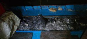 273848273 6934405343297892 2849452107756481242 n