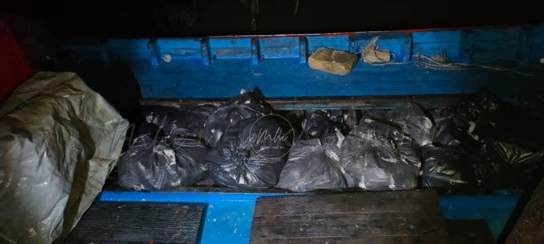 273848273 6934405343297892 2849452107756481242 n