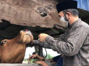 274282169 340231071352660 8119477804114540223 n