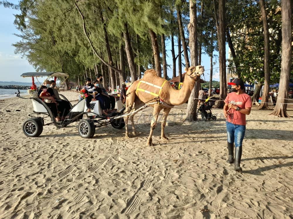 Bashar dan Basheer penyeri Pantai Puteri