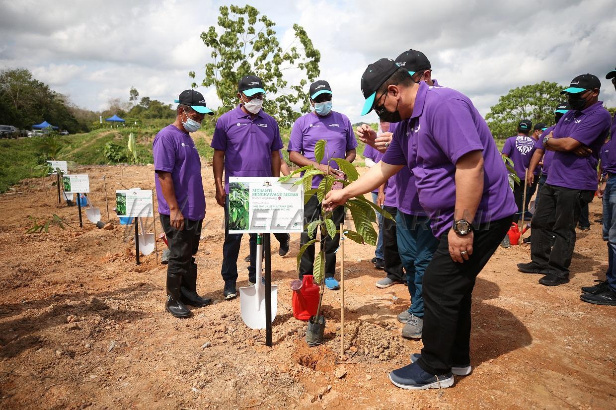 Melaka menghutankan semula 11 lokasi pencerobohan tanah empangan