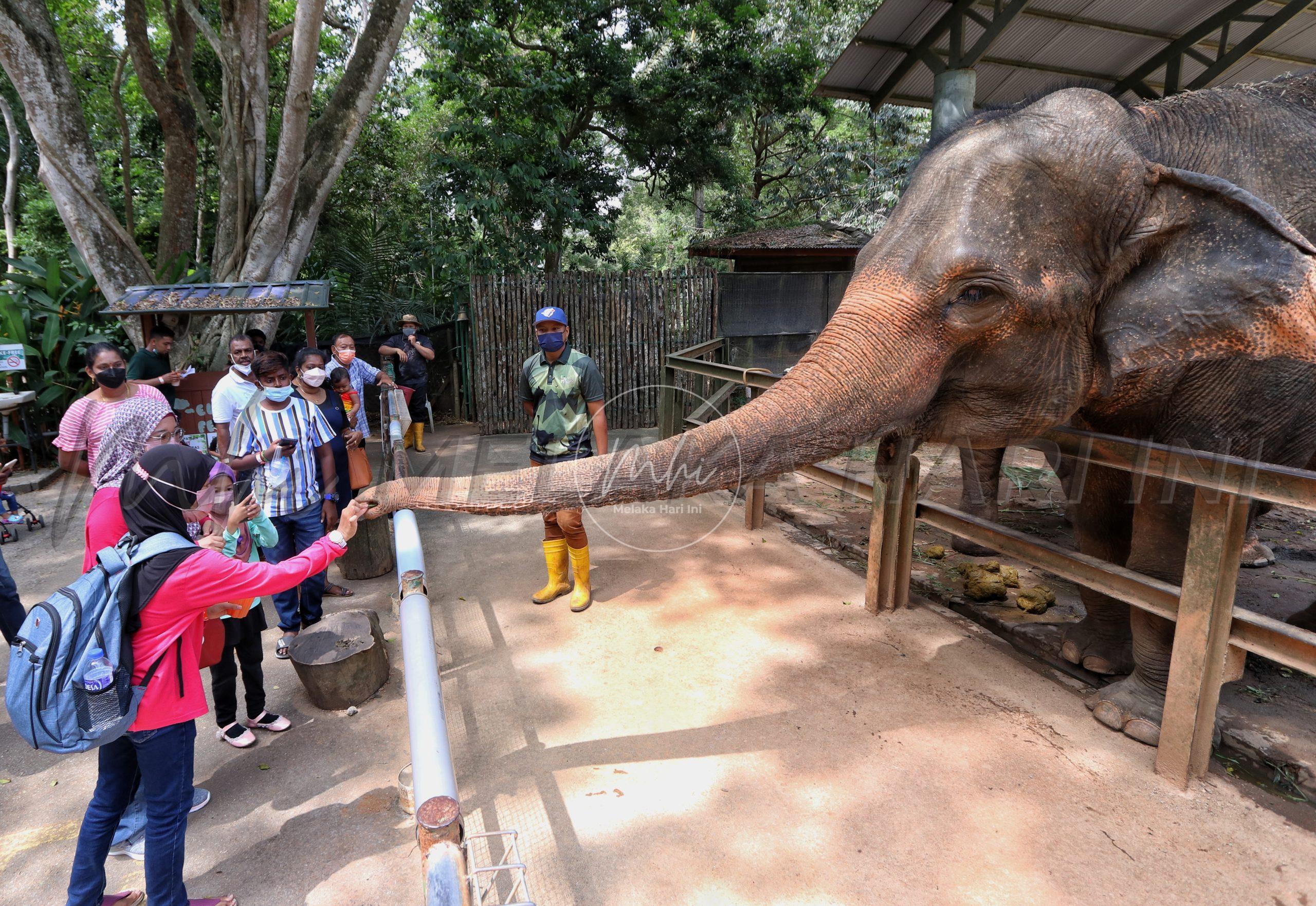 Zoo Melaka tutup lima hari