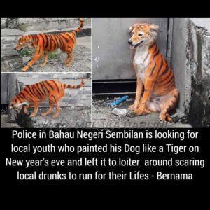 Whatsapp image 2022 02 02 at 6.51.15 pm