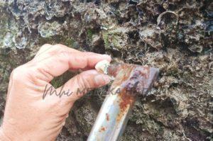 Whatsapp image 2022 02 06 at 7.50.37 pm