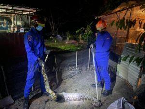 Whatsapp image 2022 02 09 at 11.39.56 am