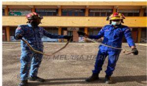 Whatsapp image 2022 02 15 at 5.30.53 pm