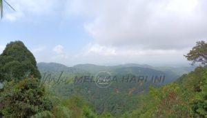 Whatsapp image 2022 02 20 at 7.56.50 pm