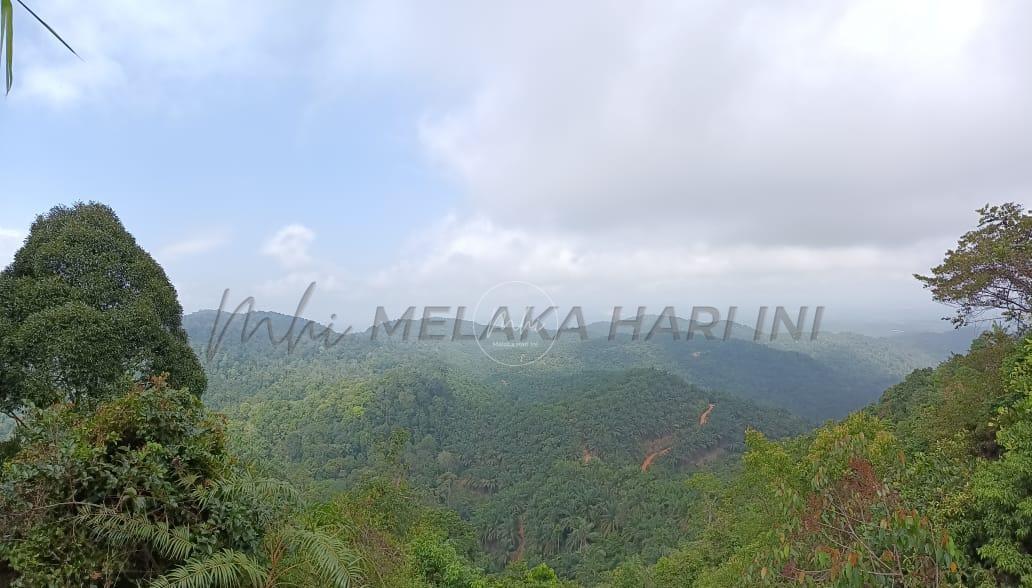 Bukit Gapis terus dibangunkan sebagai lokasi pelancongan