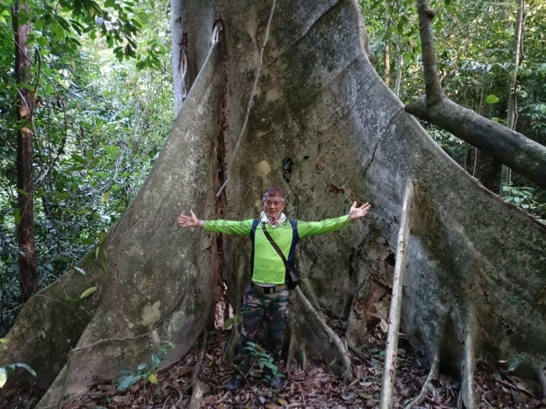 Bukit Gapis punya tarikan tersendiri