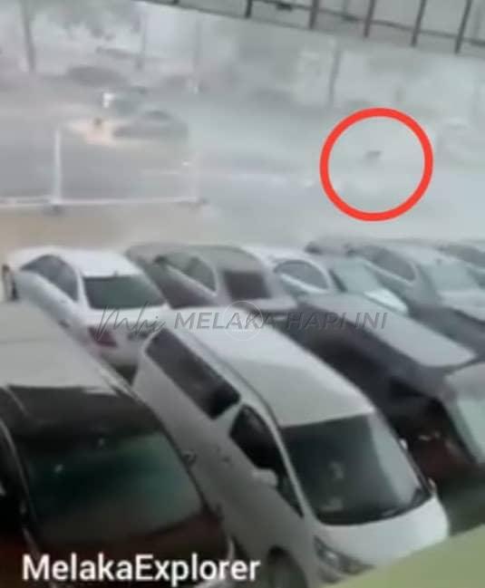 Penunggang dihempap pokok tumbang ketika hujan lebat