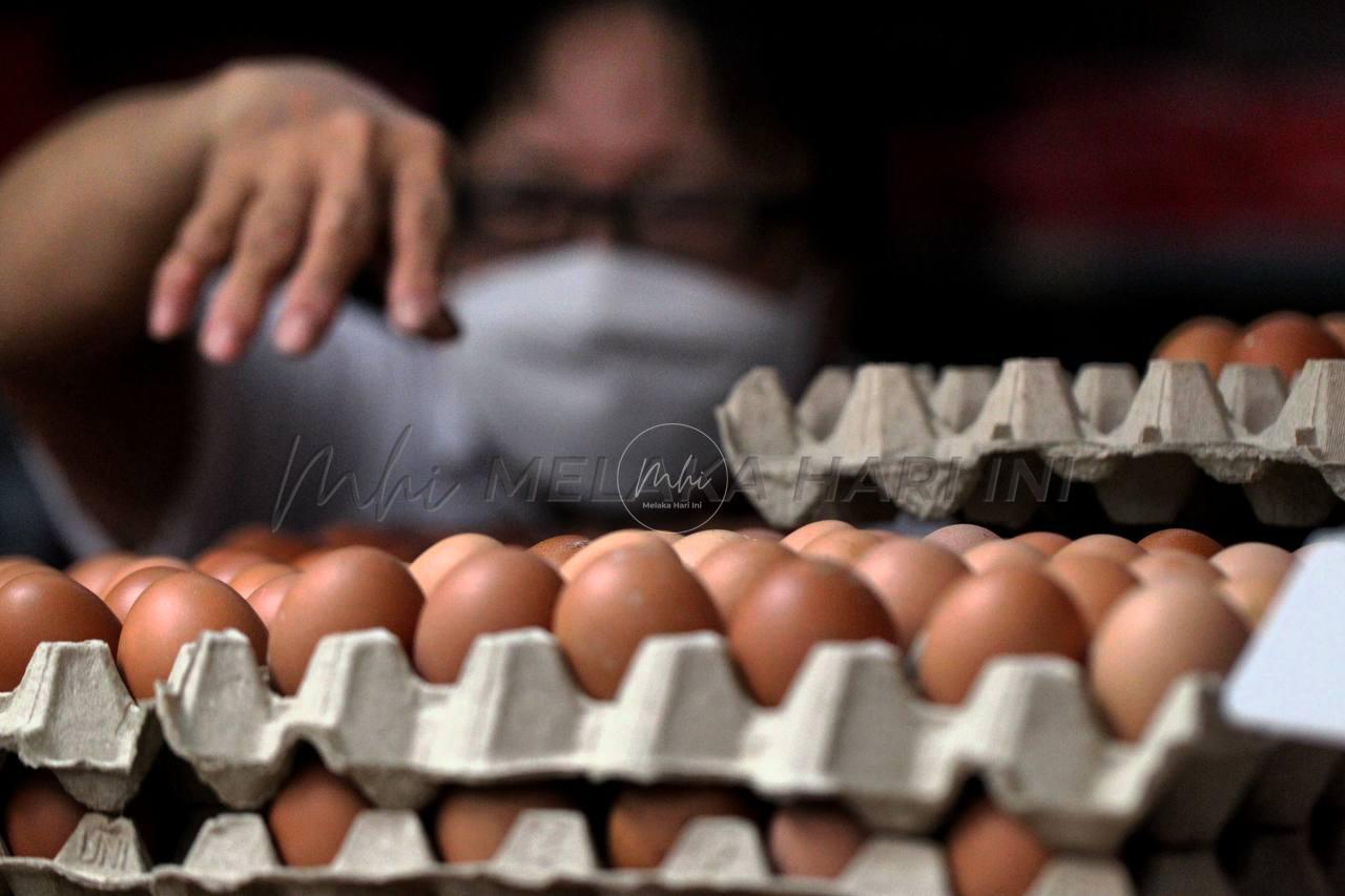 Kerajaan sedia pelan pastikan bekalan telur cukup menjelang puasa, raya