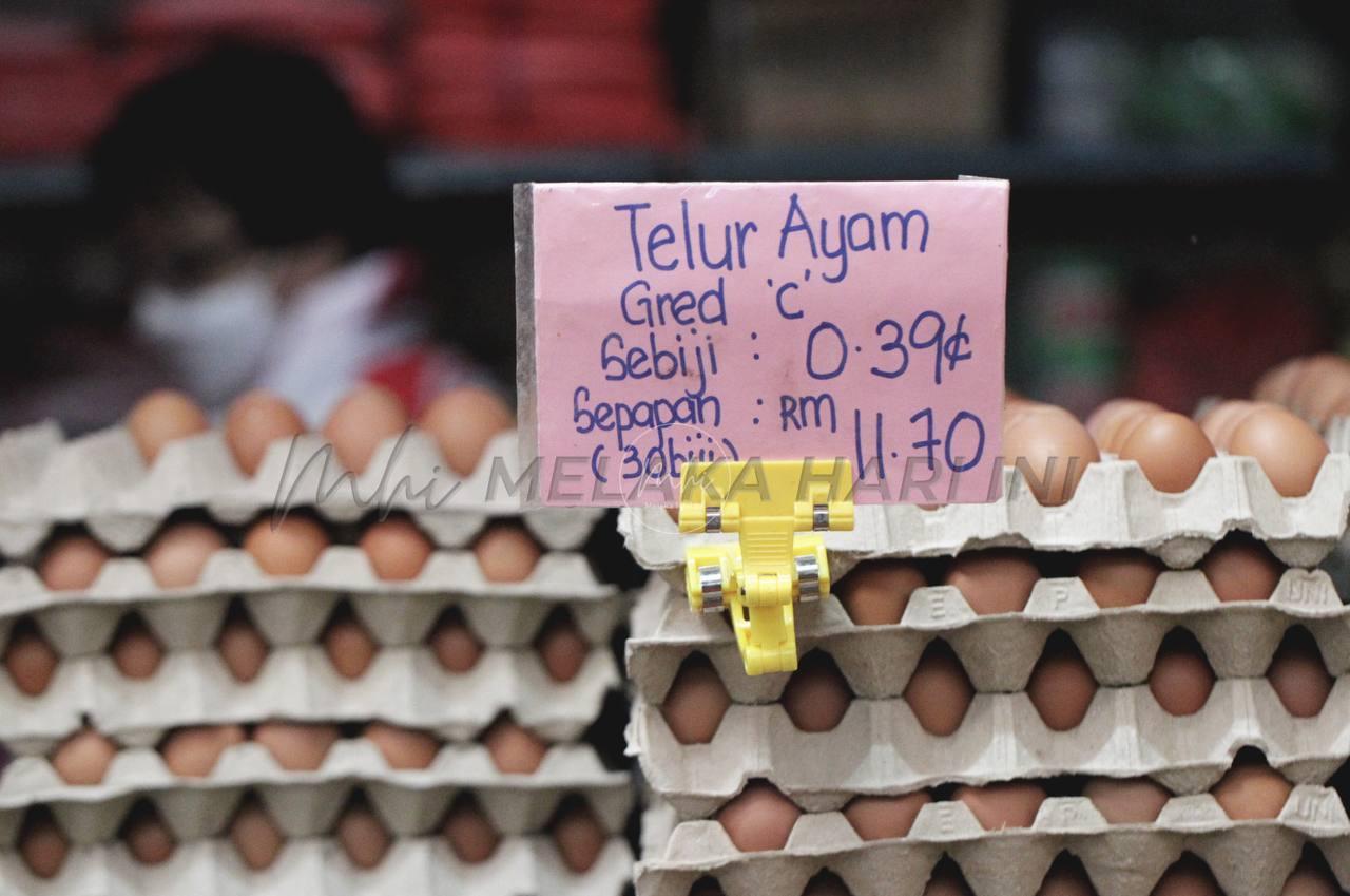 Bekalan telur ayam cukup, harga pula naik