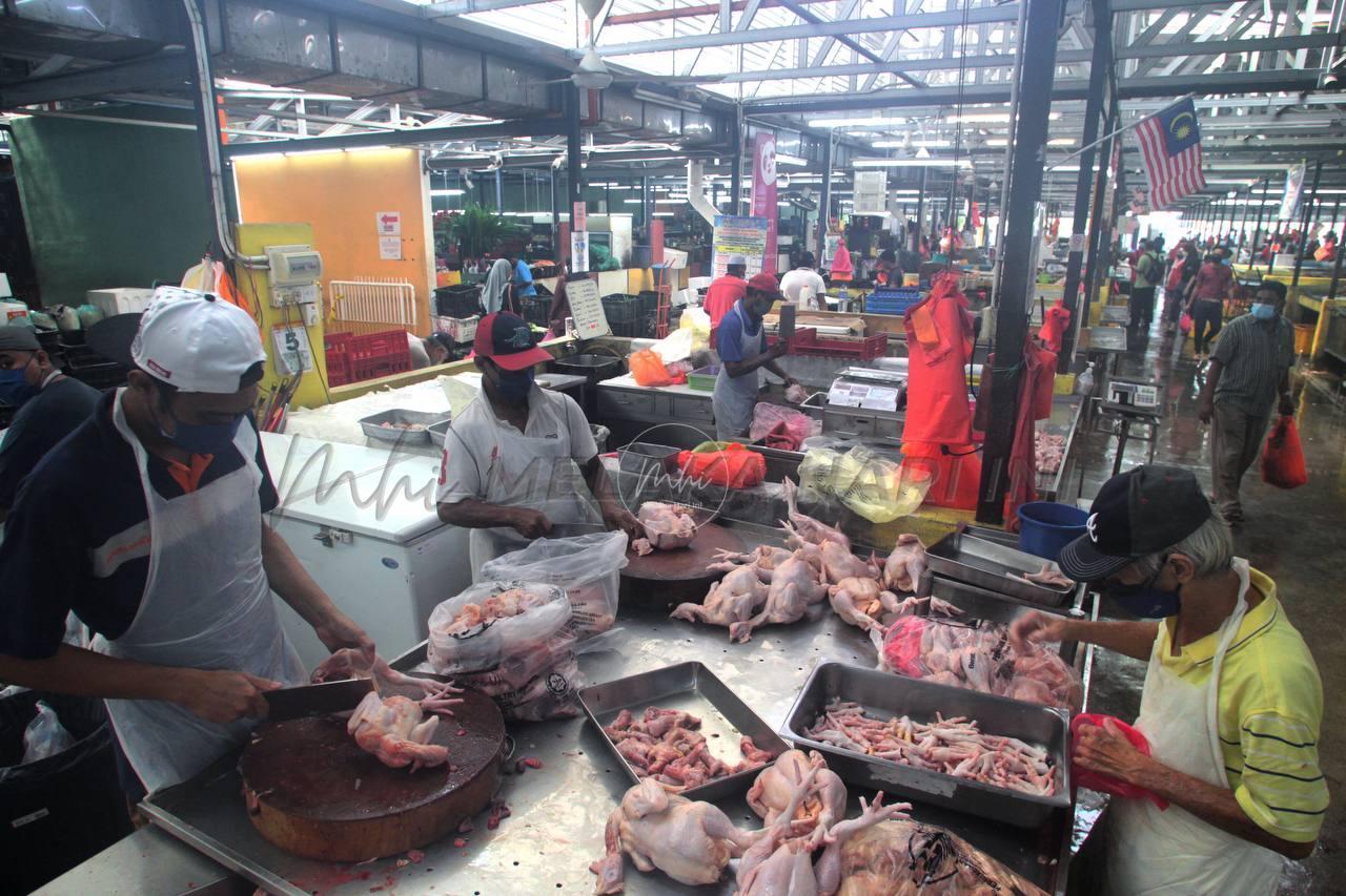 Kerajaan belum putuskan lanjut pemberian subsidi kepada penternak ayam