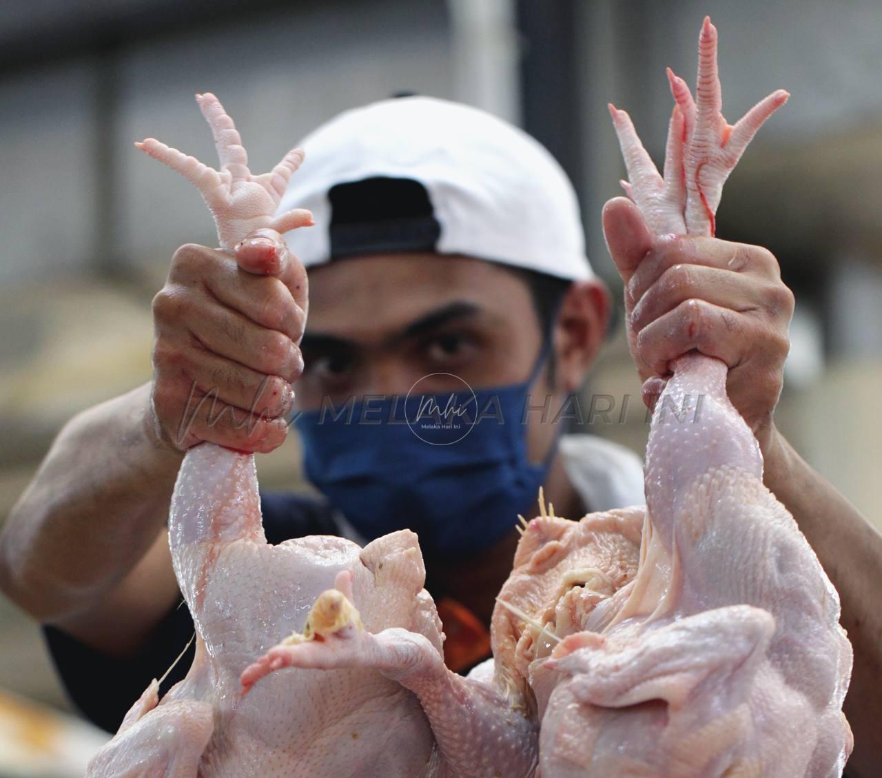 Bekalan ayam, daging cukup menjelang sambutan Aidilfitri – Mohamad