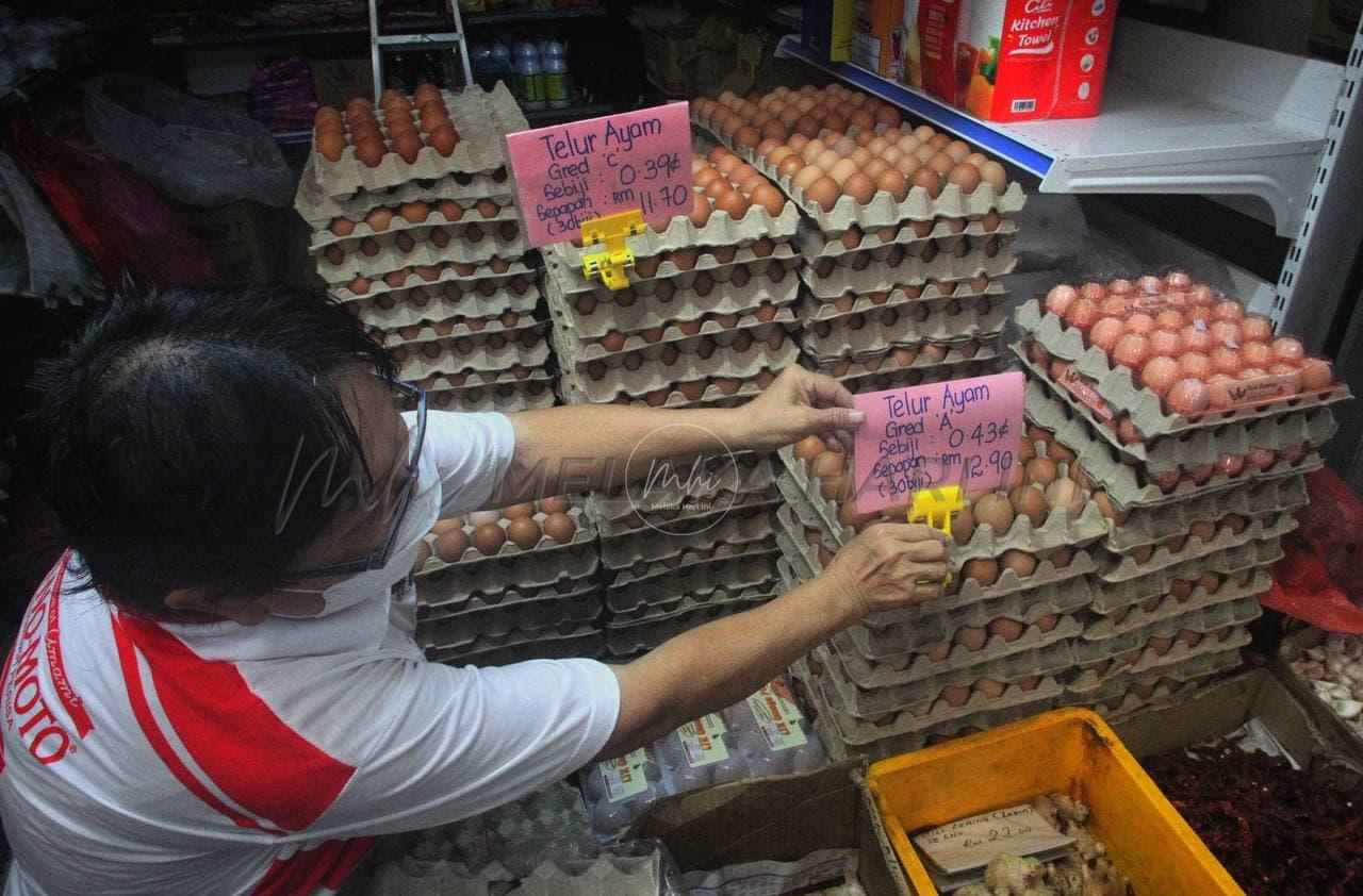 KPDNHEP, MAFI cari penyelesaian bekalan telur ayam kurang