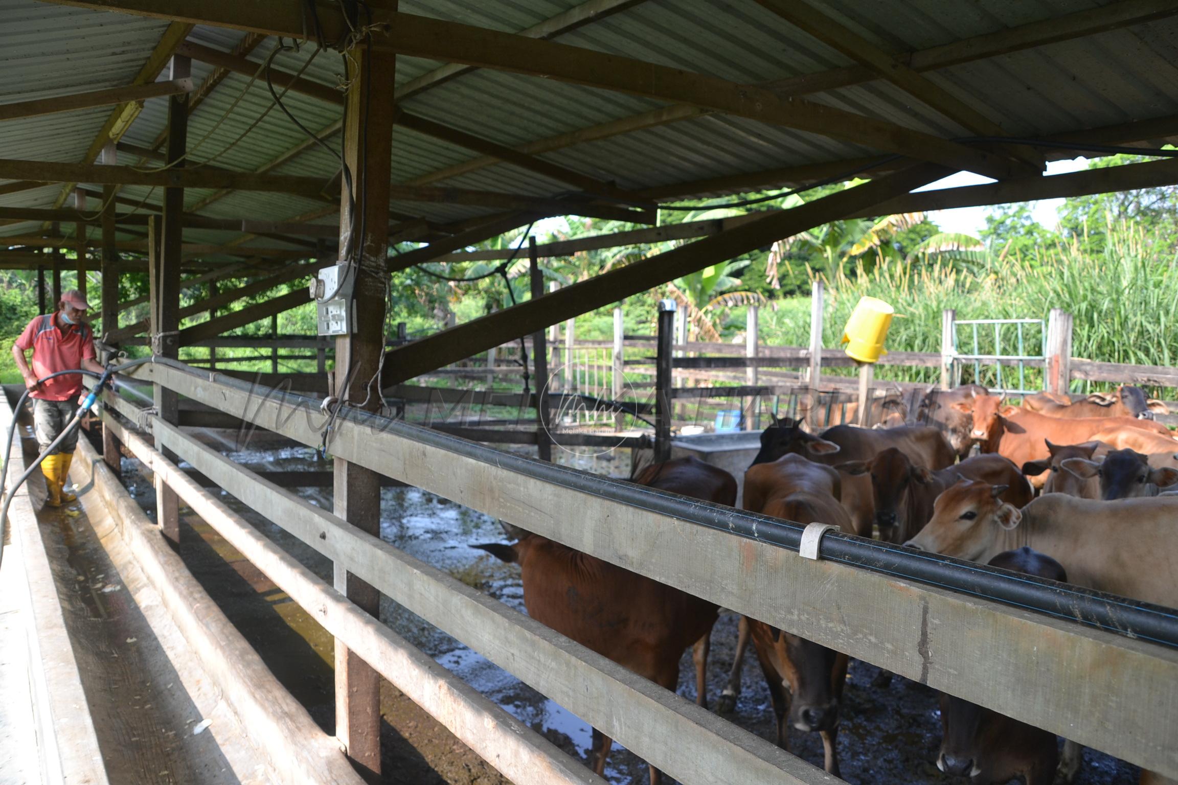 ‘Semoga saya dan isteri terpilih jadi tetamu Allah’