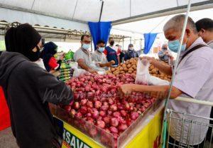 275250651 495688881919216 7721165478093707787 n