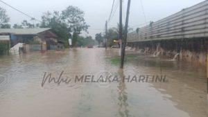 275356173 326315019528653 6004435947505787373 n