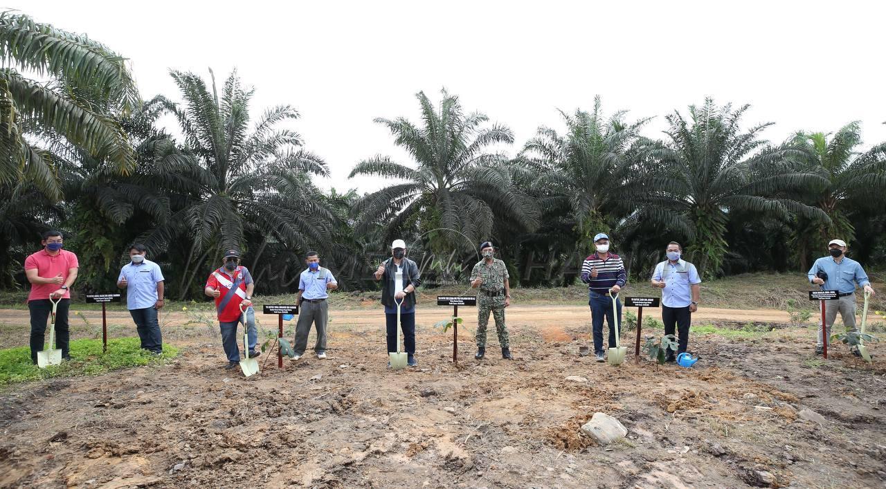 Ladang sawit di Sabah mampu beri pulangan menguntungkan buat Melaka – KM