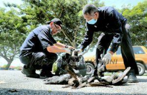 Whatsapp image 2022 03 24 at 3.54.52 pm