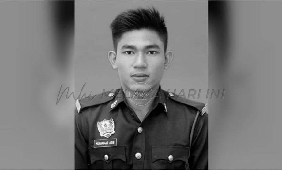 Jawatankuasa khas siasat kes kematian Muhammad Adib mohon maklumat orang awam